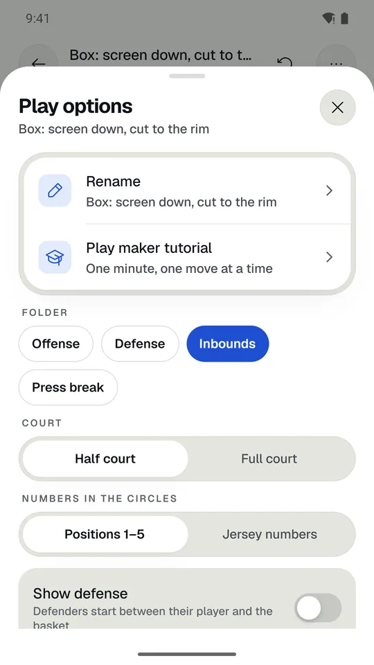 The Play options sheet.